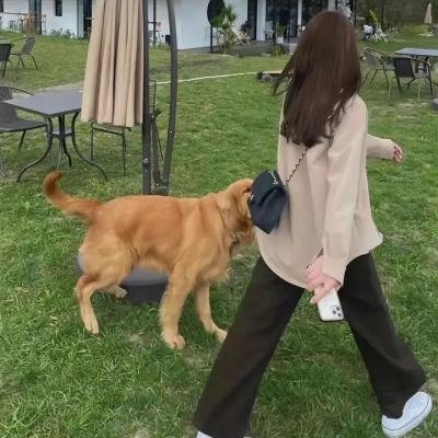炼狱信使