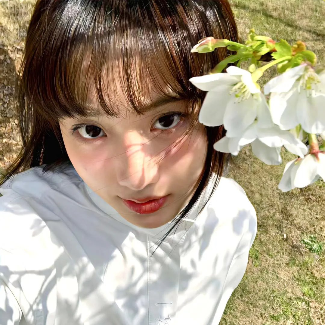 莫莉·麦克斯韦